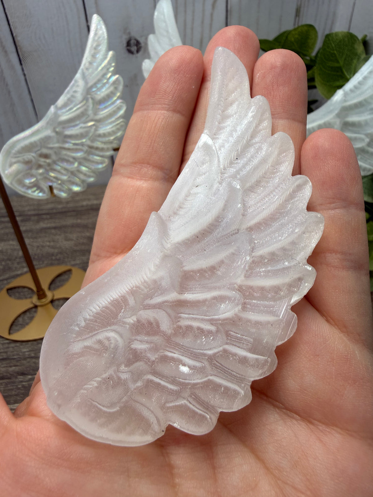 Small Selenite Wings with Stand