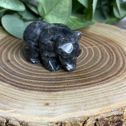 Bear Carvings