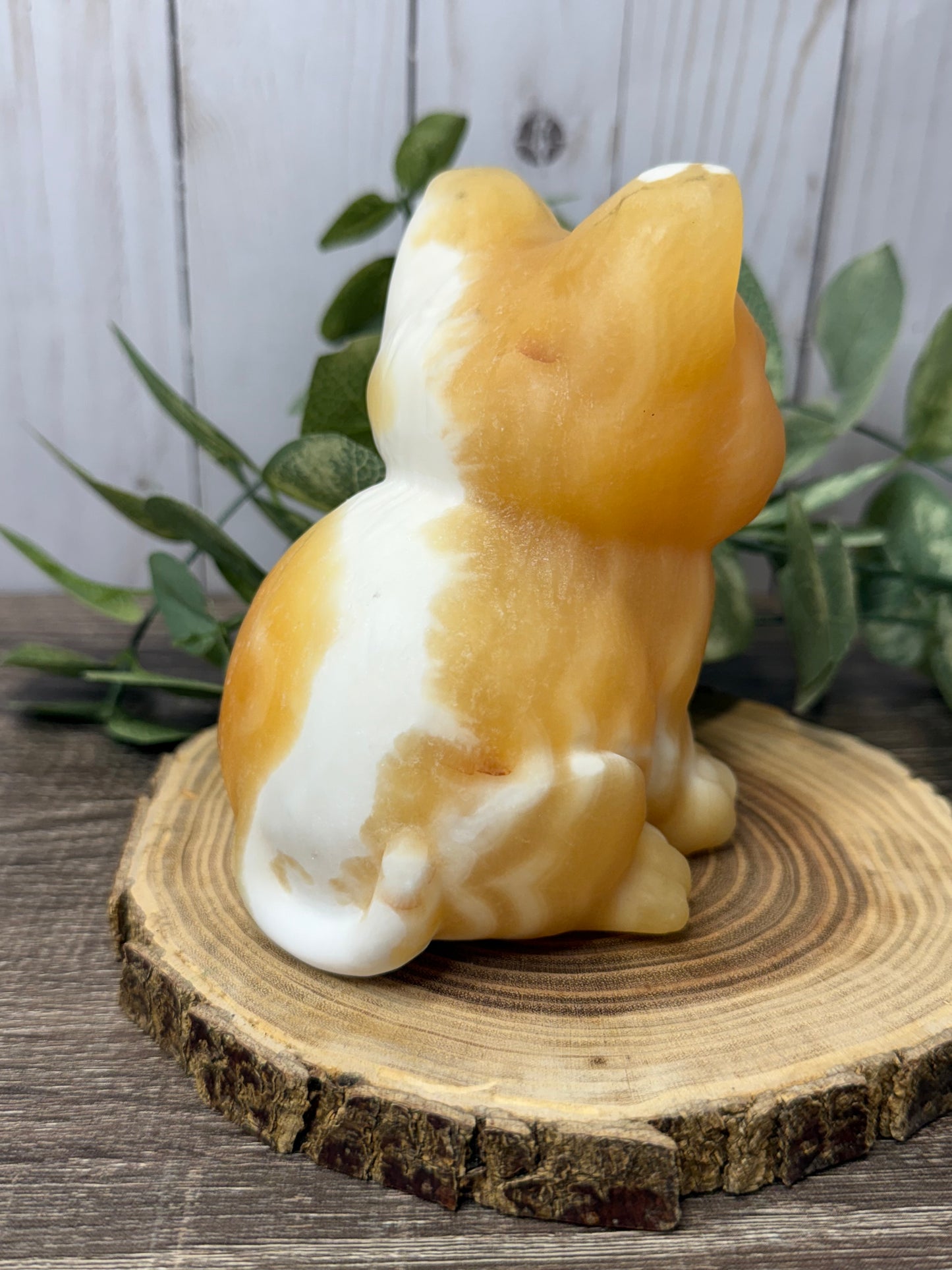 Cat Carvings -Large