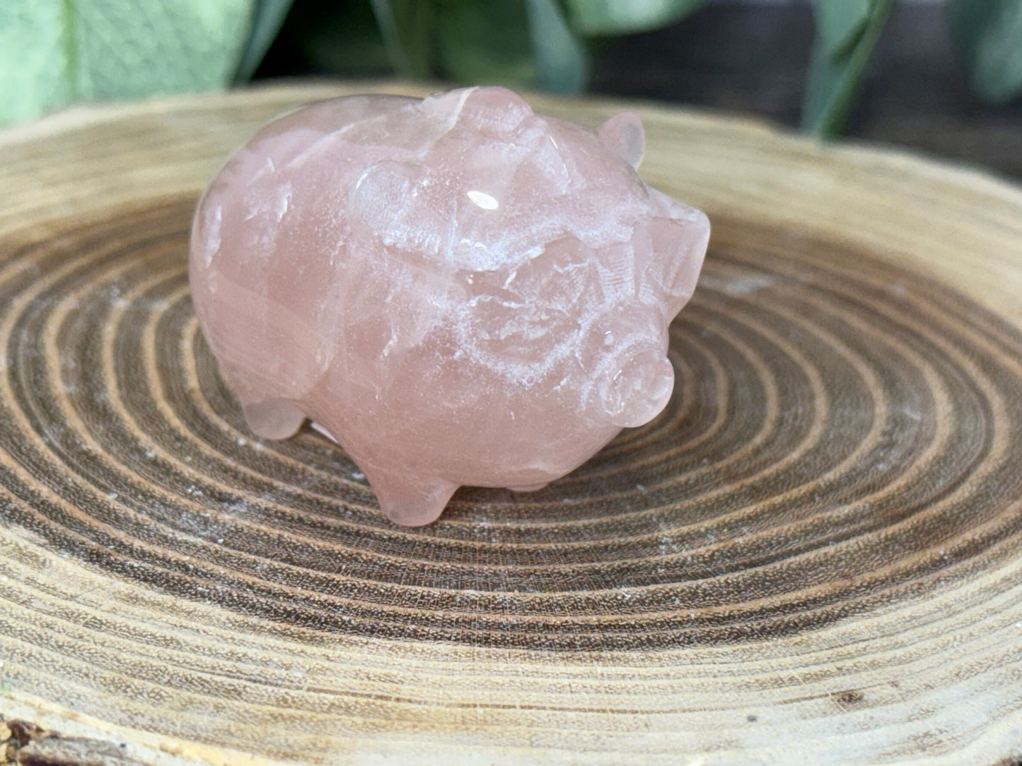 Pig with Mohawk Sunglasses - Rose Quartz