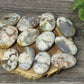 Flower Agate Palm Stones