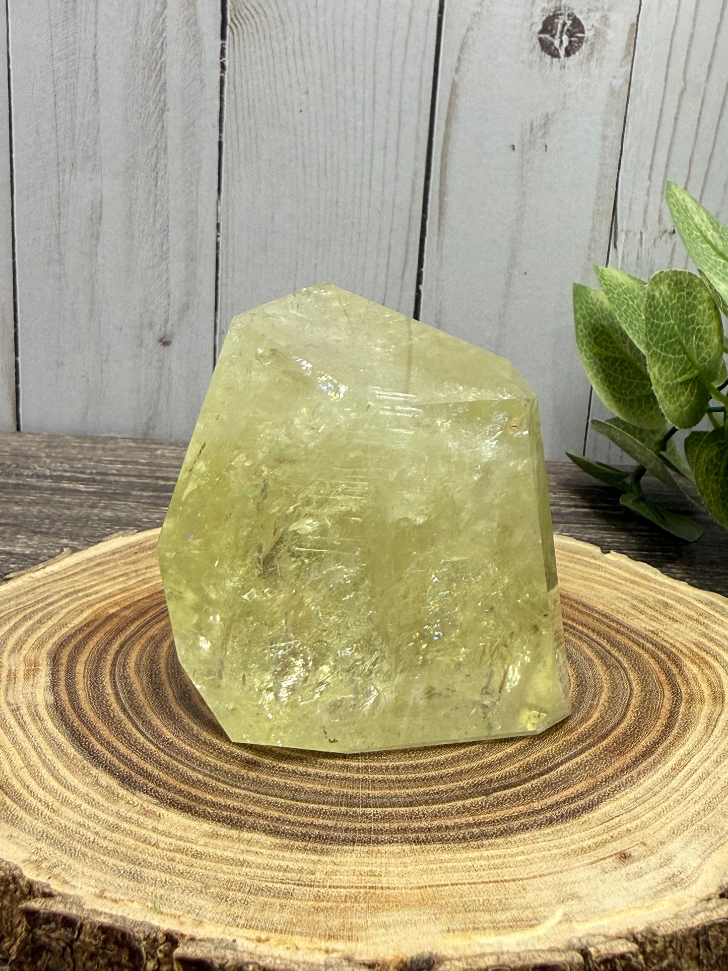 Citrine Freeforms - Rainbow Filled