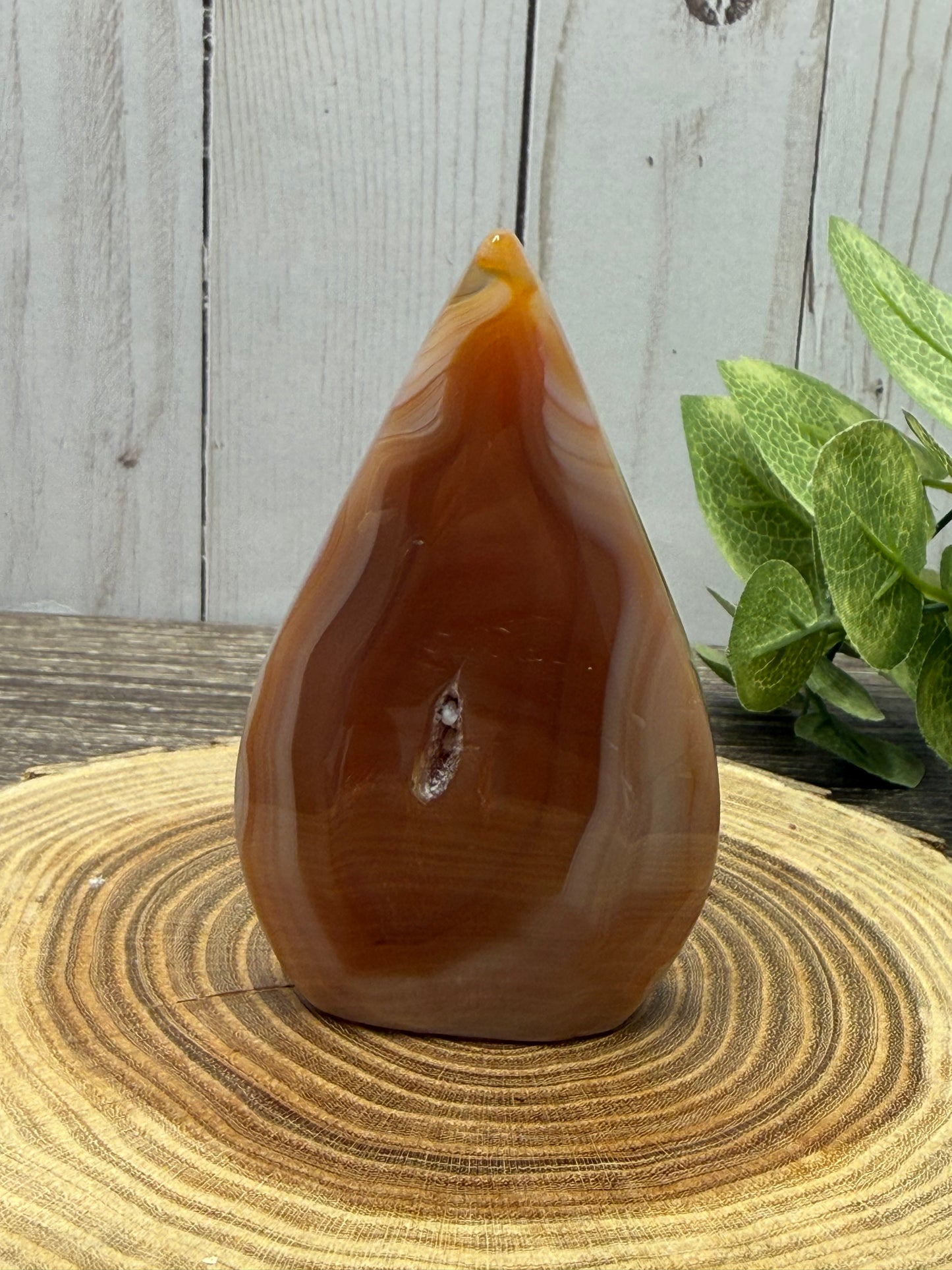 Carnelian Freeforms