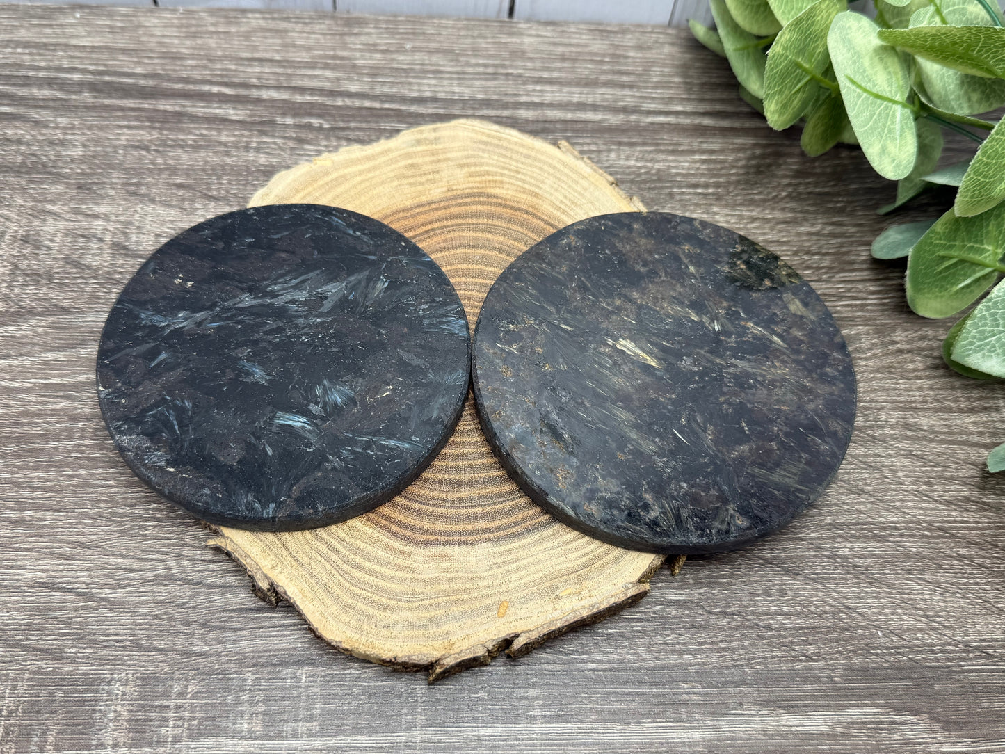 Garnet and Strophiolate Disks
