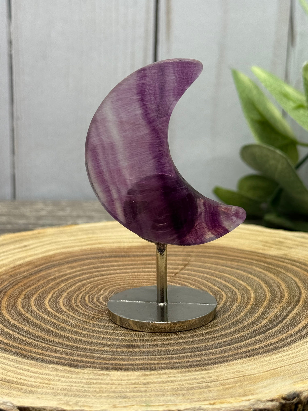Small Moons on Stands