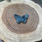 Labadorite Deadhead Moth Carving