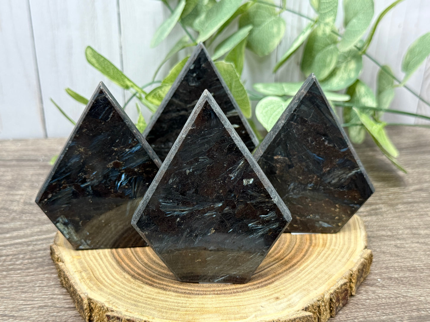 Garnet and Astrophyllite Freeform