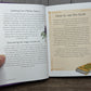 The Little Book of Wicca: a beginner's guide to witchcraft