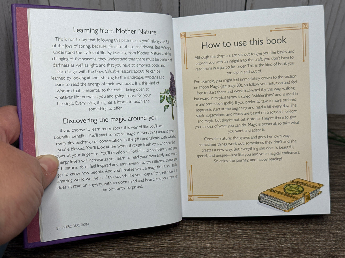 The Little Book of Wicca: a beginner's guide to witchcraft
