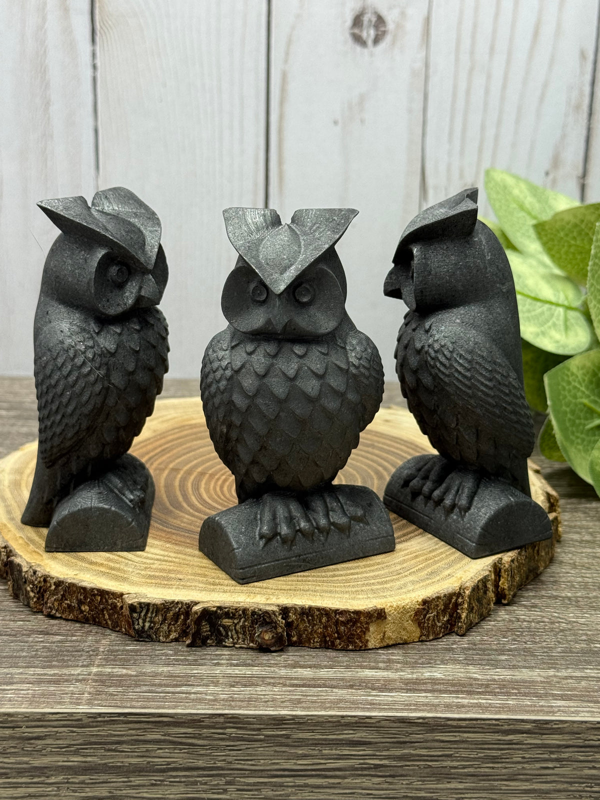 Shungite Owl Carvings