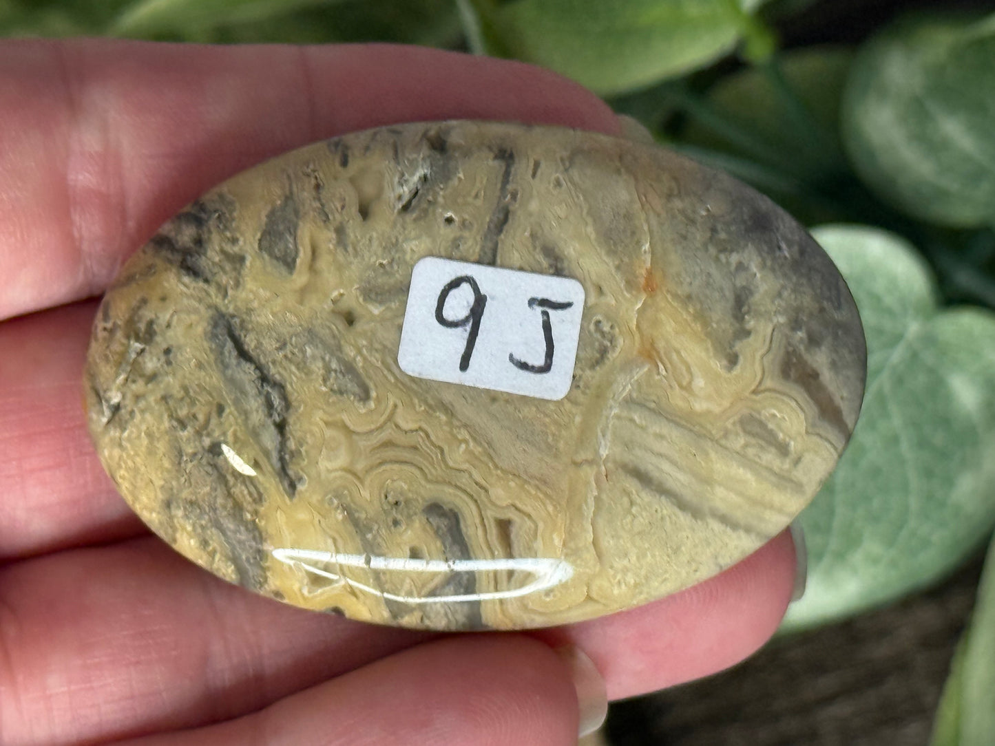 Lace Agate Palm Stones