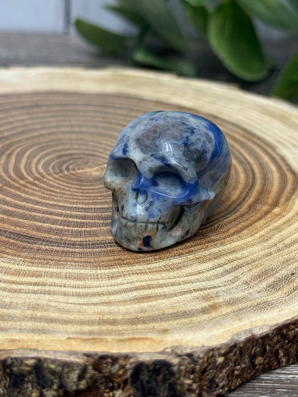Skull Carvings - small