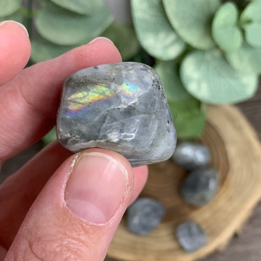 Labradorite Tumbles