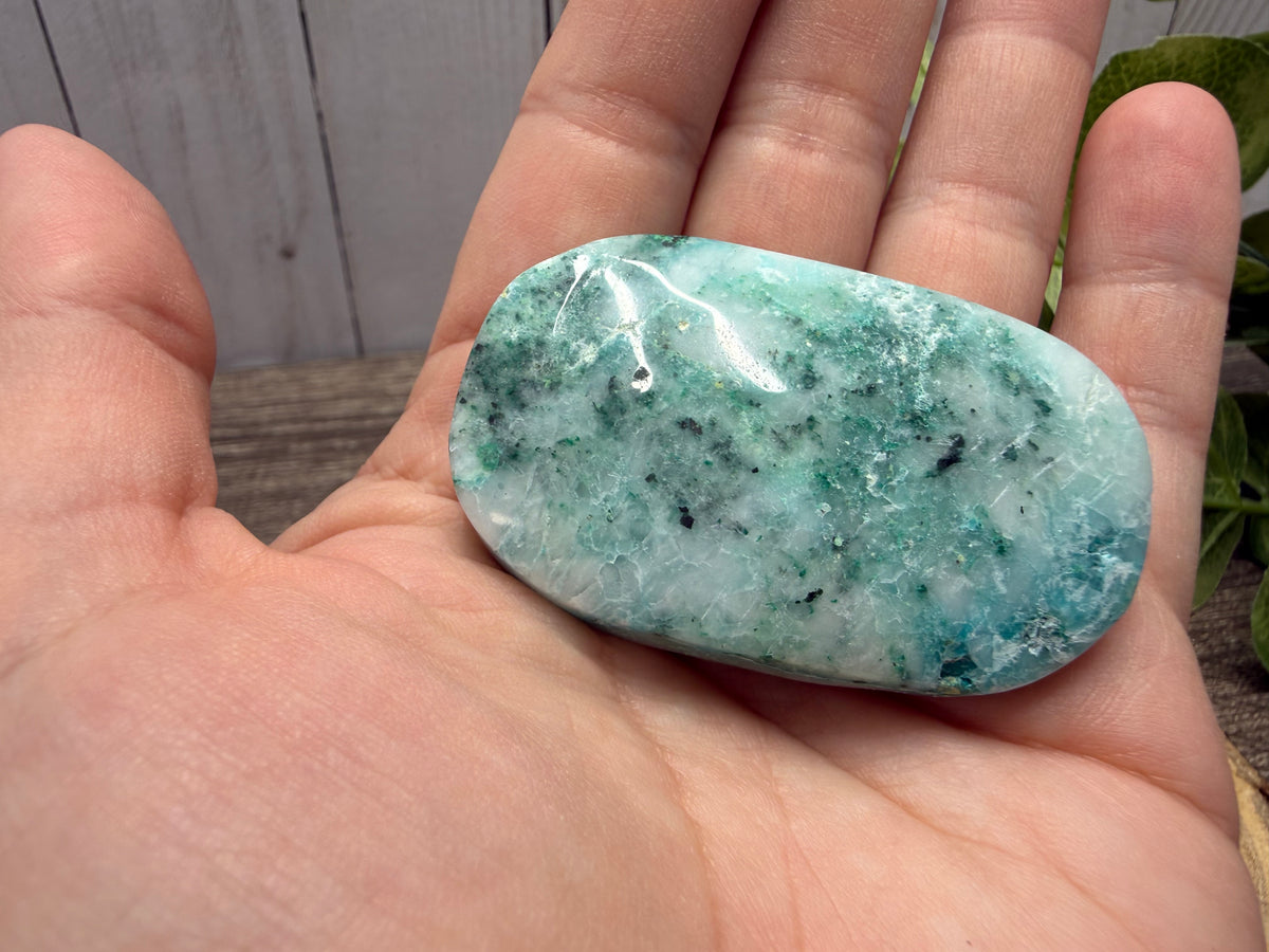Phoenix Stone Palm Stones