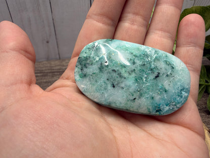 Phoenix Stone Palm Stones