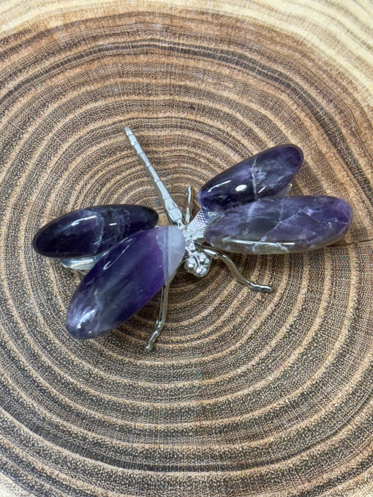 Dragonflies