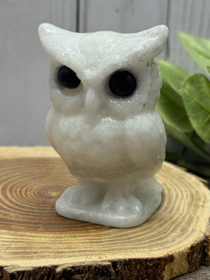 Large Owl Carvings