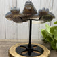 Agate Dragon on Black Stand that Rotates