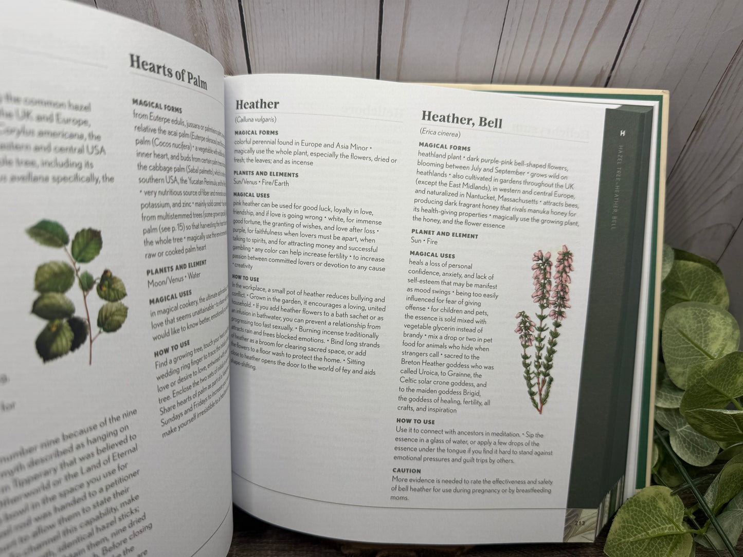 1001 Magical Plants: The Complete Book of Botanicals for Every Purpose