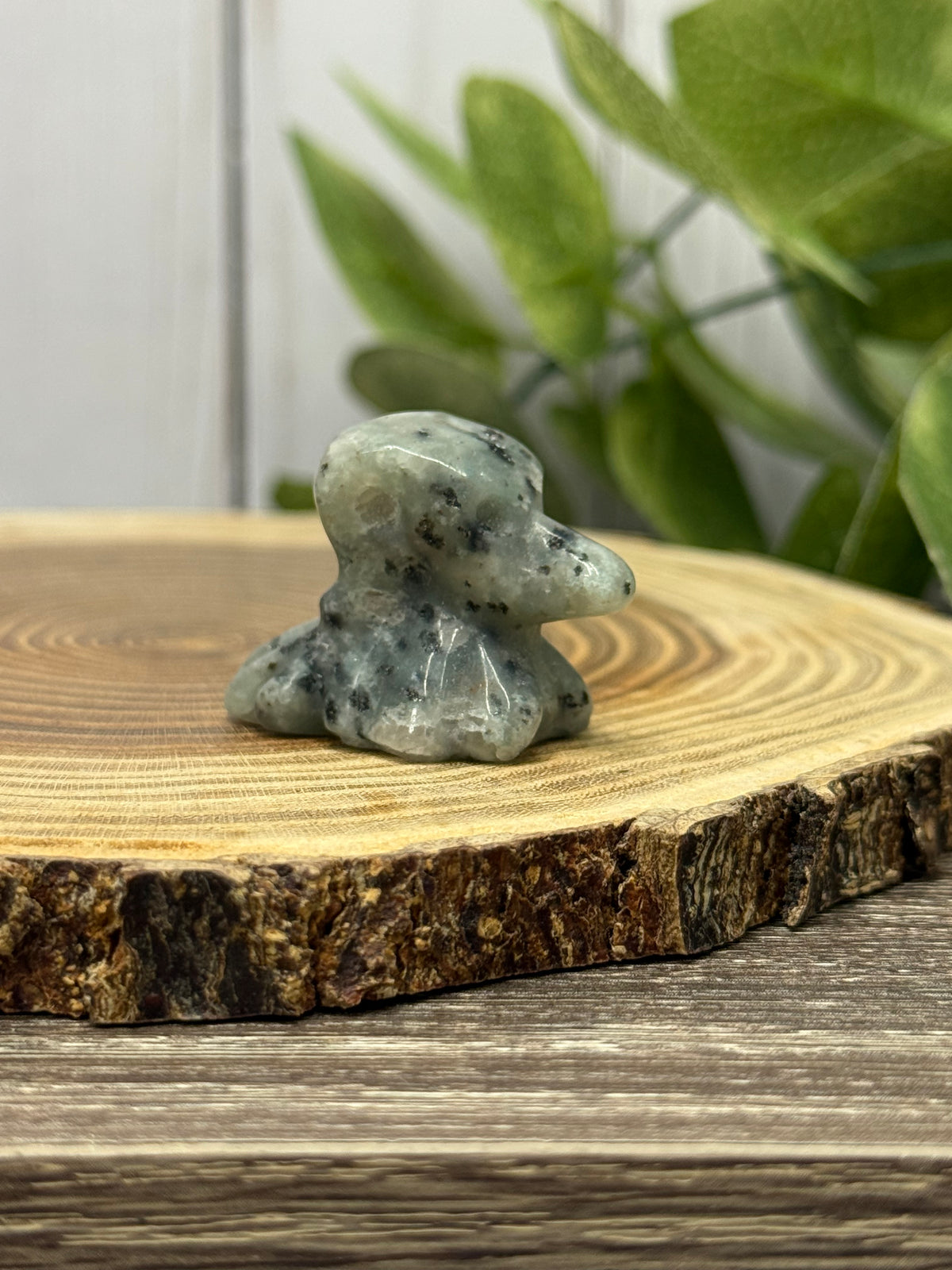 Zero Dog Carvings