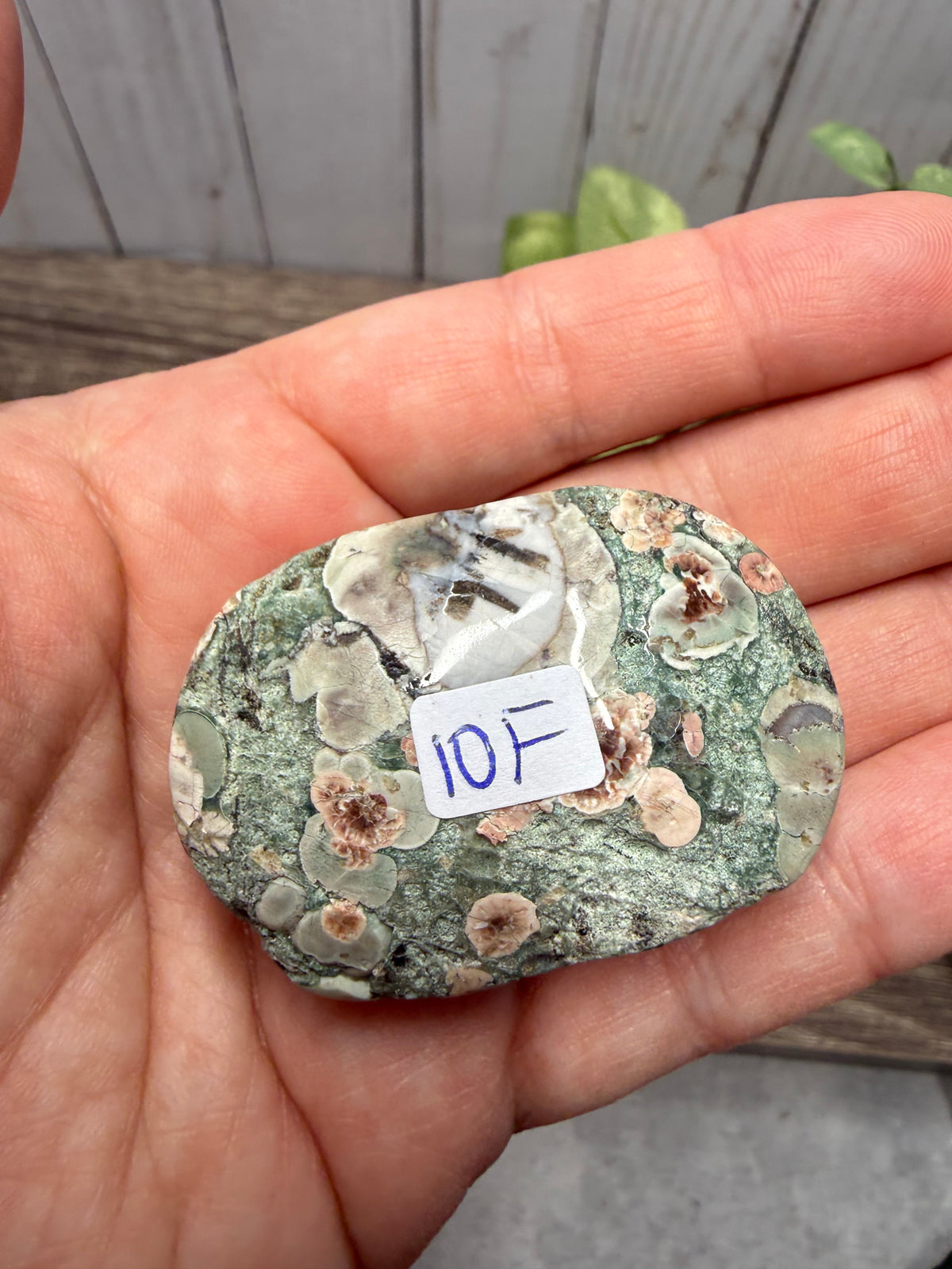 Russian Flower Agate Palm Stones