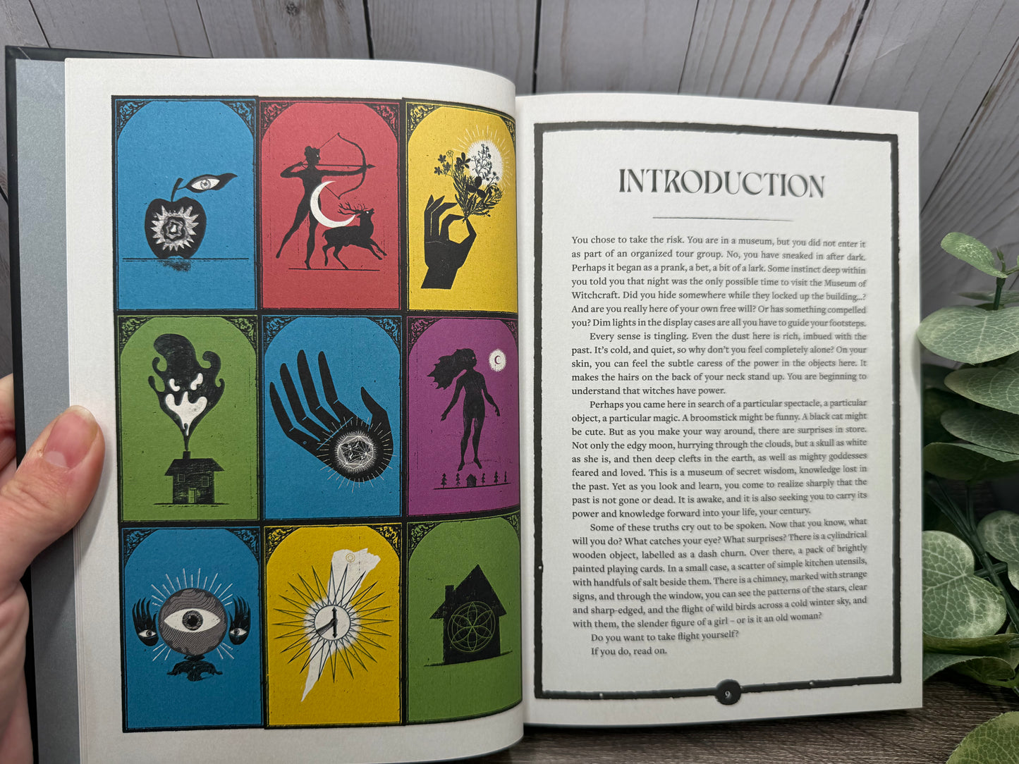 The Museum of Witchcraft: Objects, Practices, Symbols: A Guided Tour of the Occult
