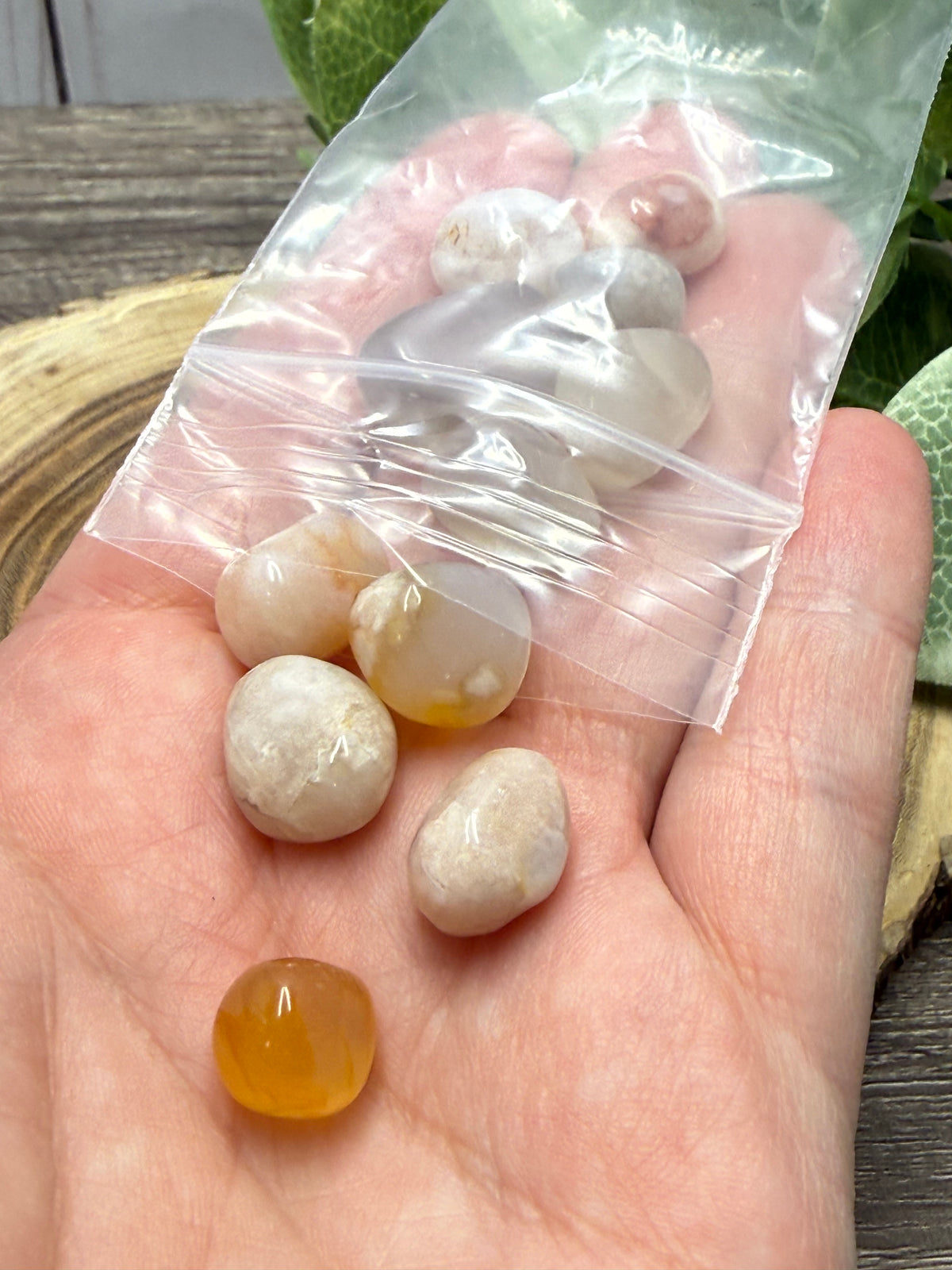 Flower Agate (Large) Crystal Chips