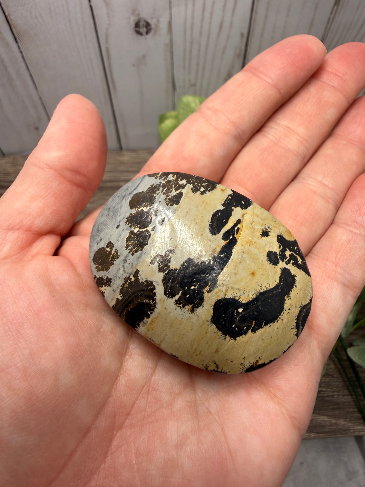 Picture Jasper Palm Stones