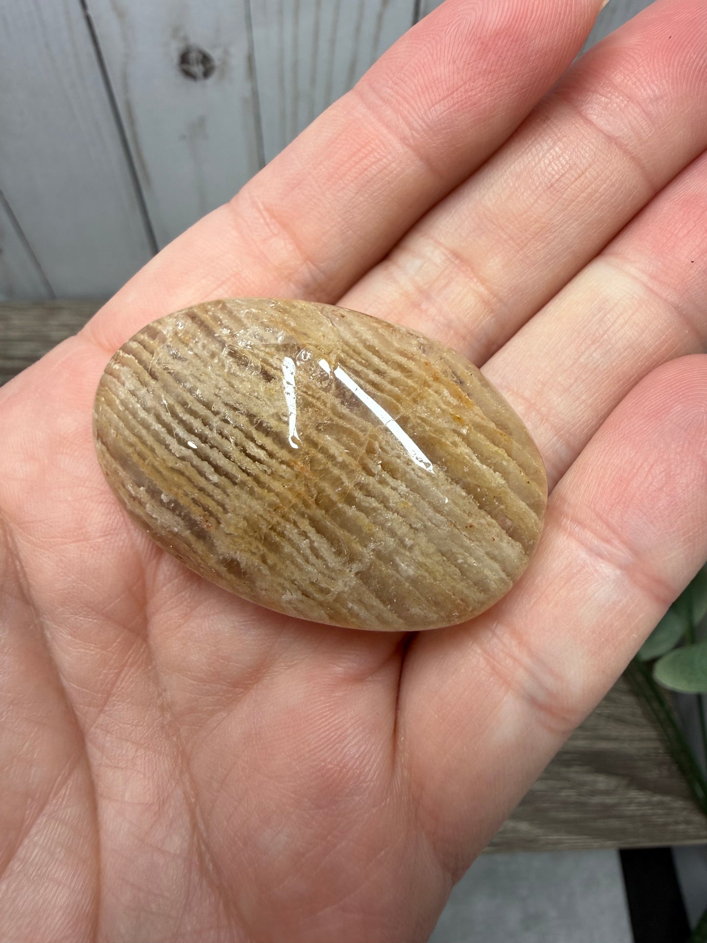 1000 Layer Garden Quartz Palm Stones