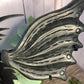 Dragon Wings on Stand - Black Obsidian Large