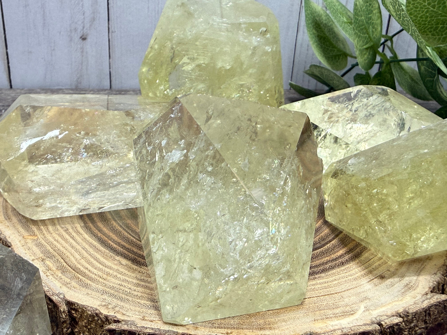 Citrine Freeforms - Rainbow Filled