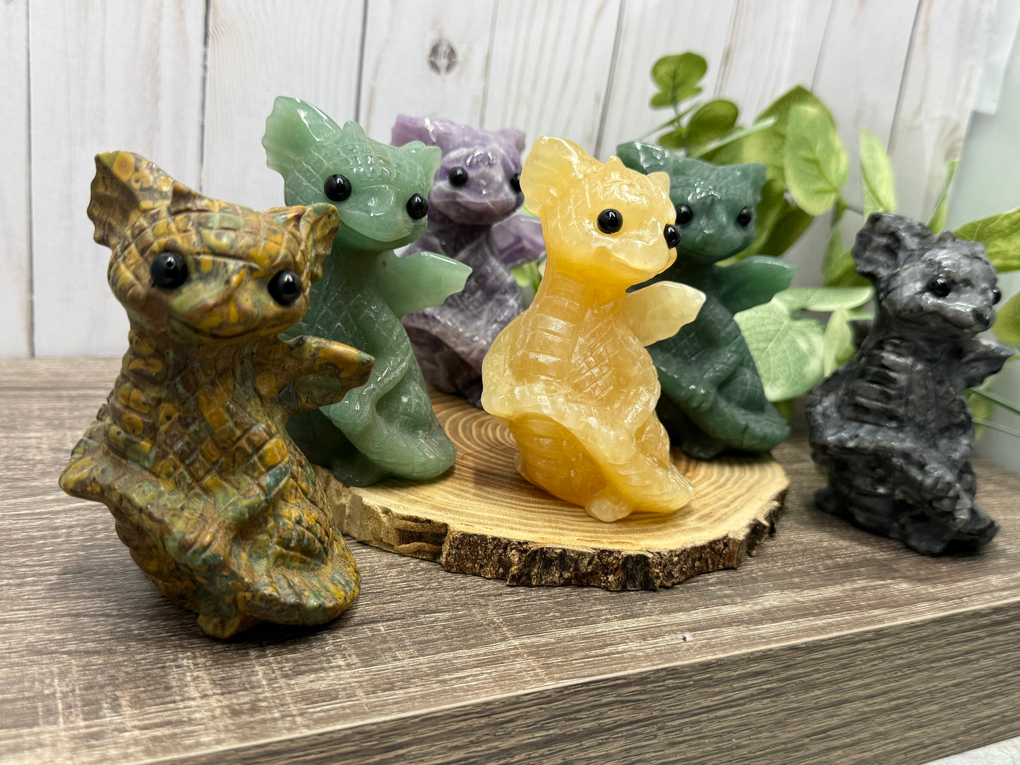 Baby Dragon - Large