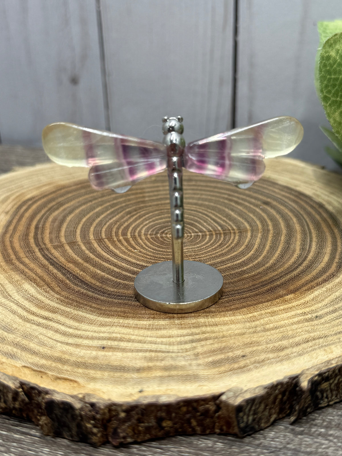 Small Dragonfly Wings on Stand - Fluorite