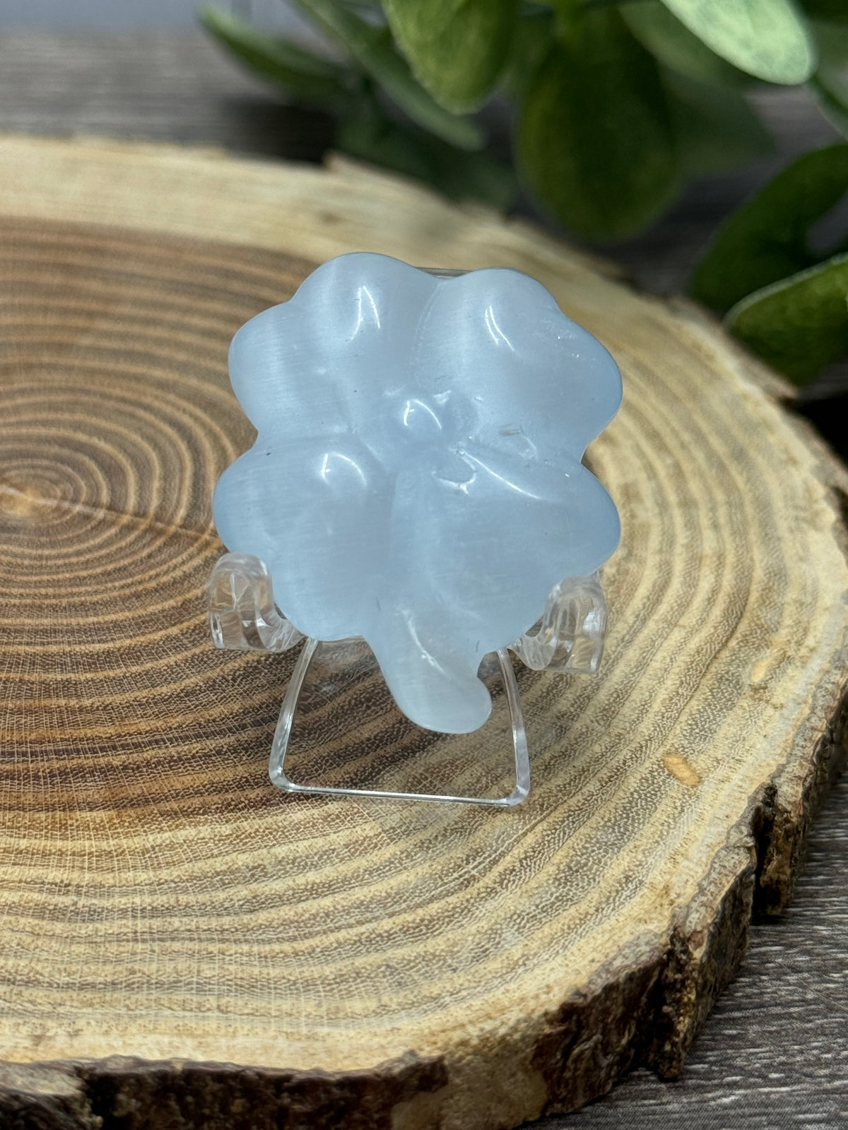 Four Leaf Clovers - Cats Eye Crystal
