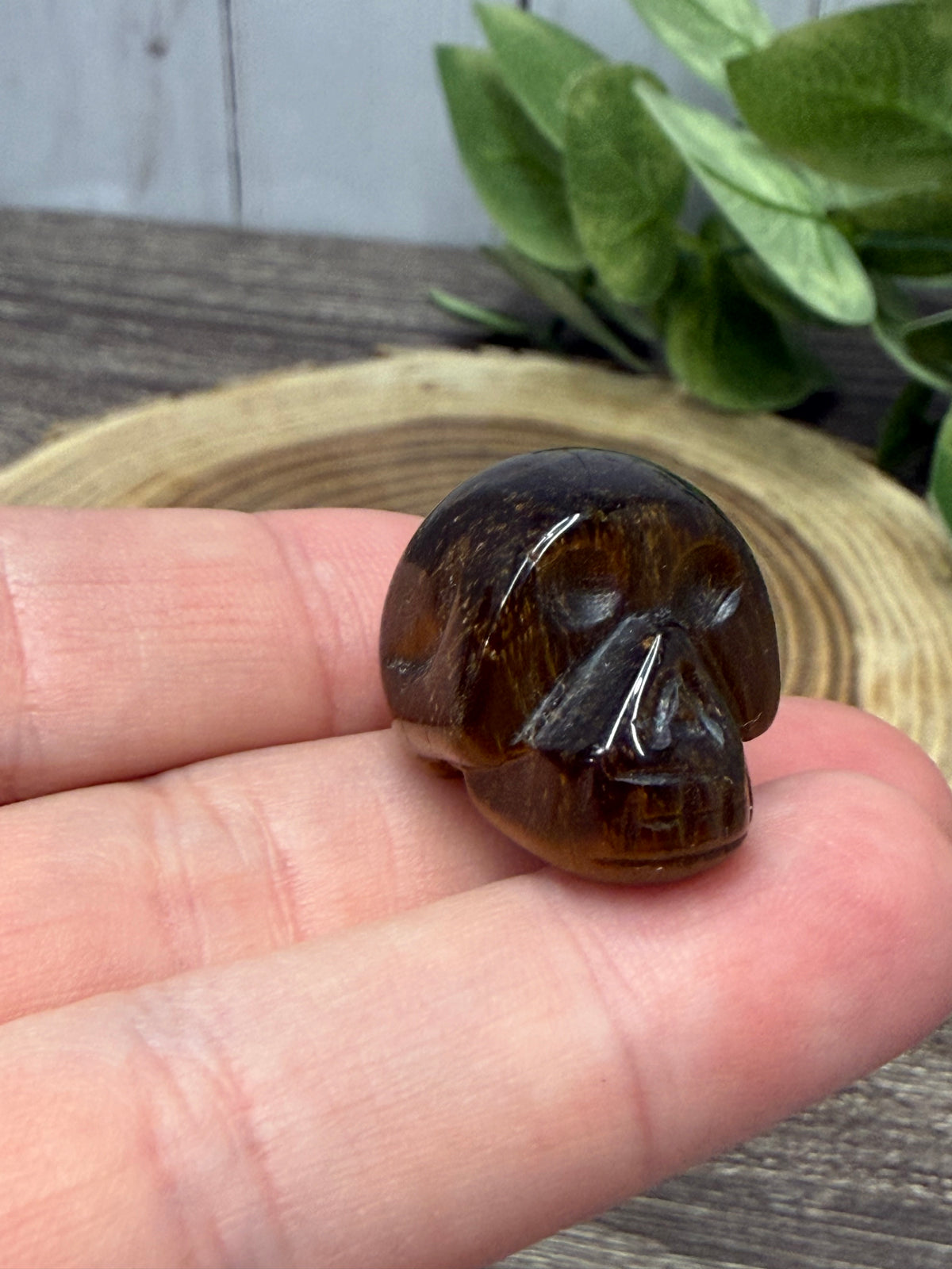 Skull Carvings - Extra Smaill
