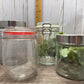 Large Herb Jars