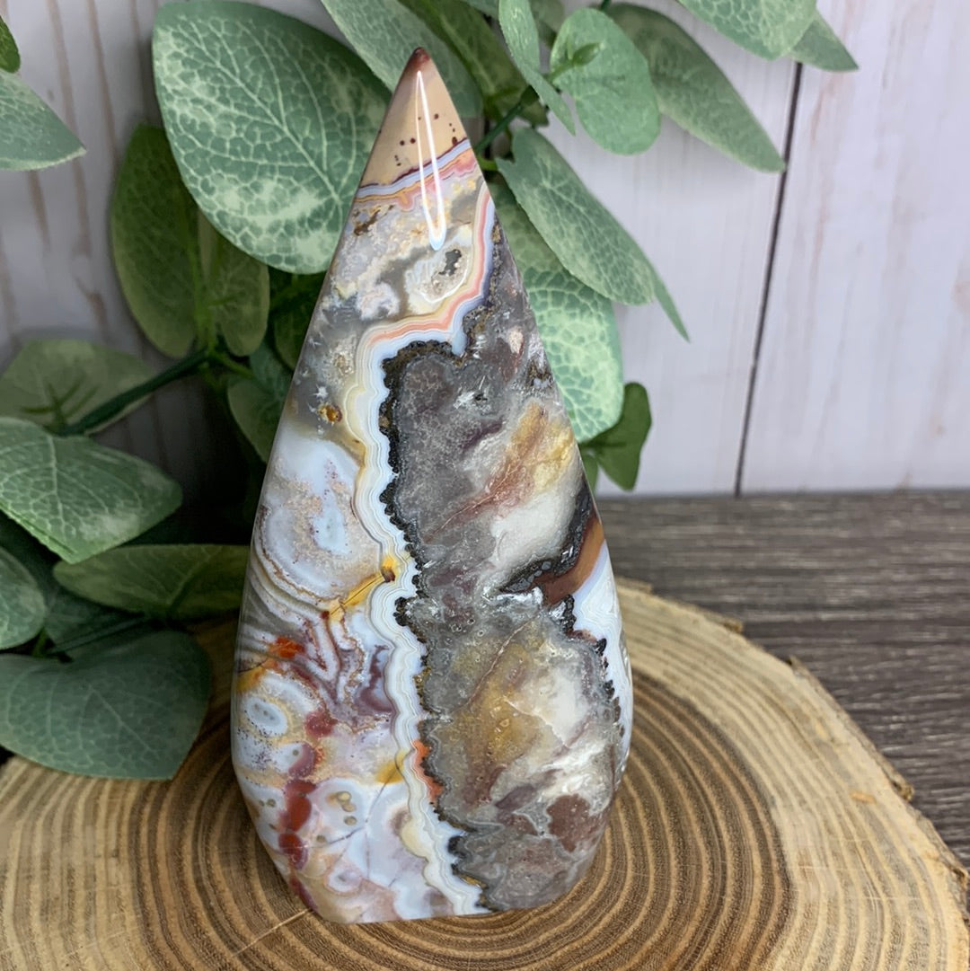 Lace Agate Free Form