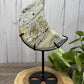Ocean Jasper Moons on Stands