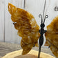 Butterfly Wings on Stand - Golden Healer