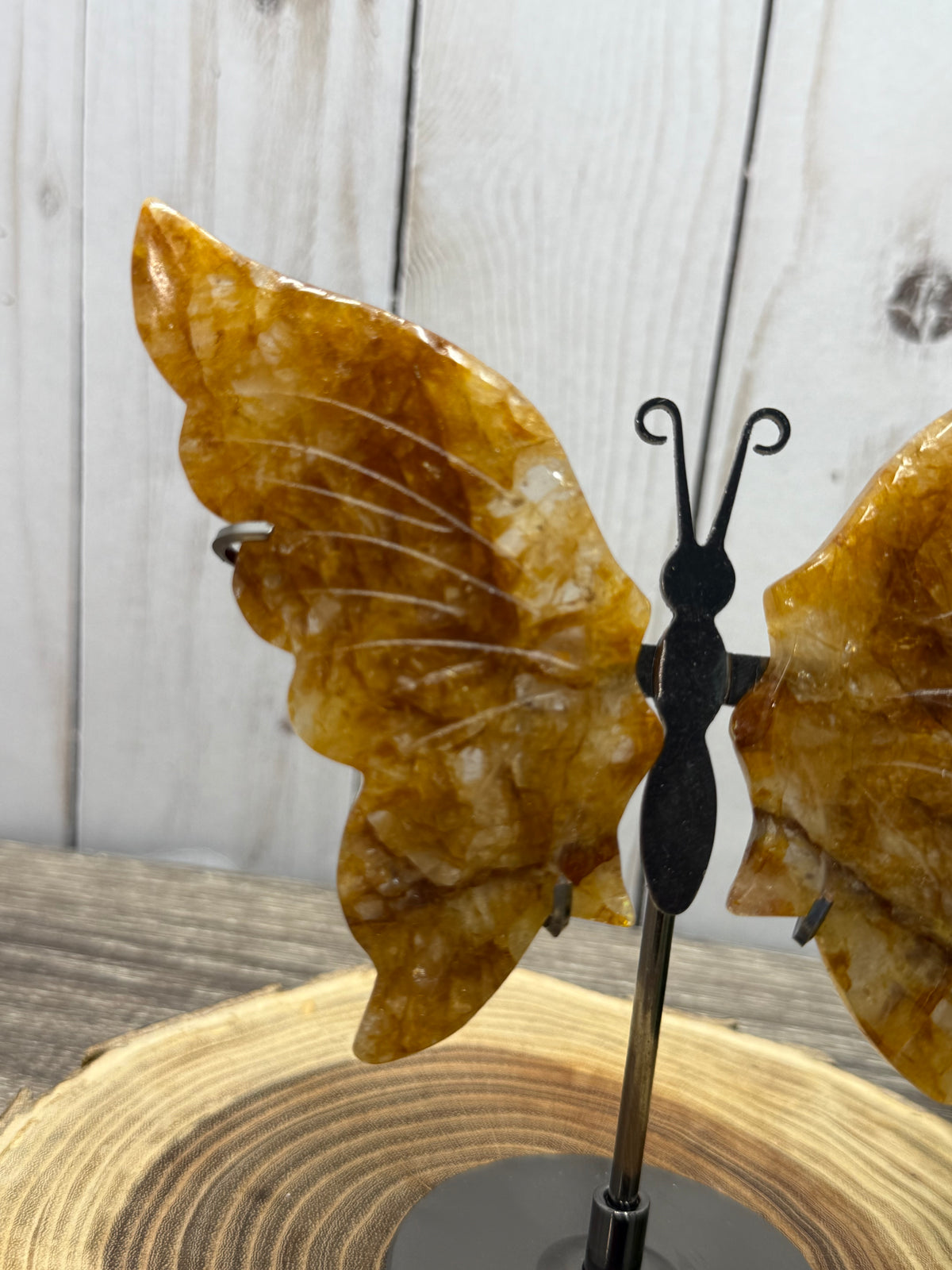 Butterfly Wings on Stand - Golden Healer