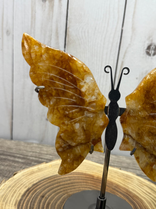 Butterfly Wings on Stand - Golden Healer