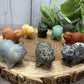 Pig Carvings