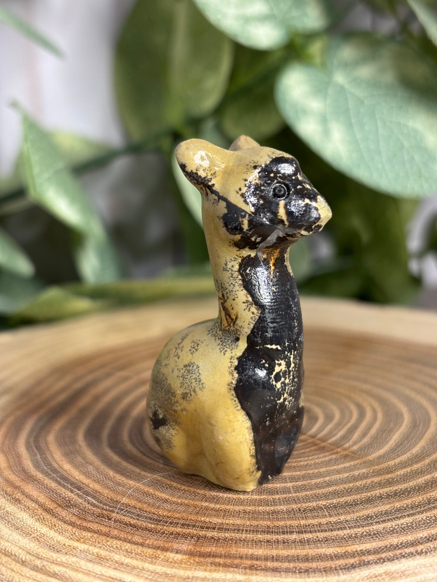 Llama Crystal Carving - Picture Jasper