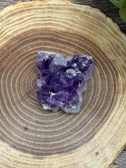 Amethyst Clusters