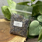 Lavender - Magick Herbs (Bagged)