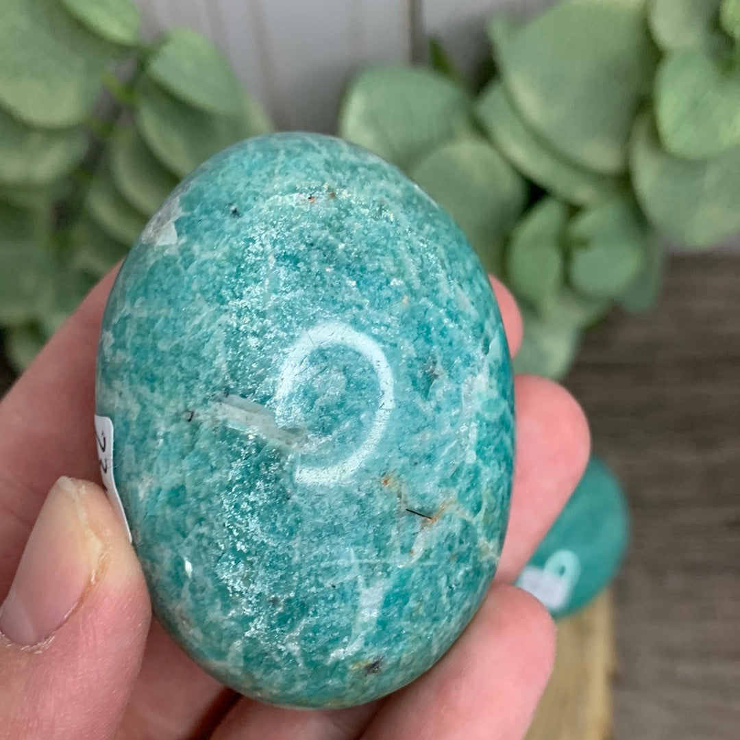 Amazonite Palm Stones