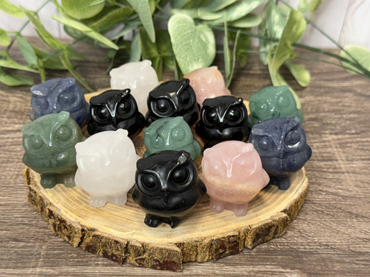 Owl Carvings