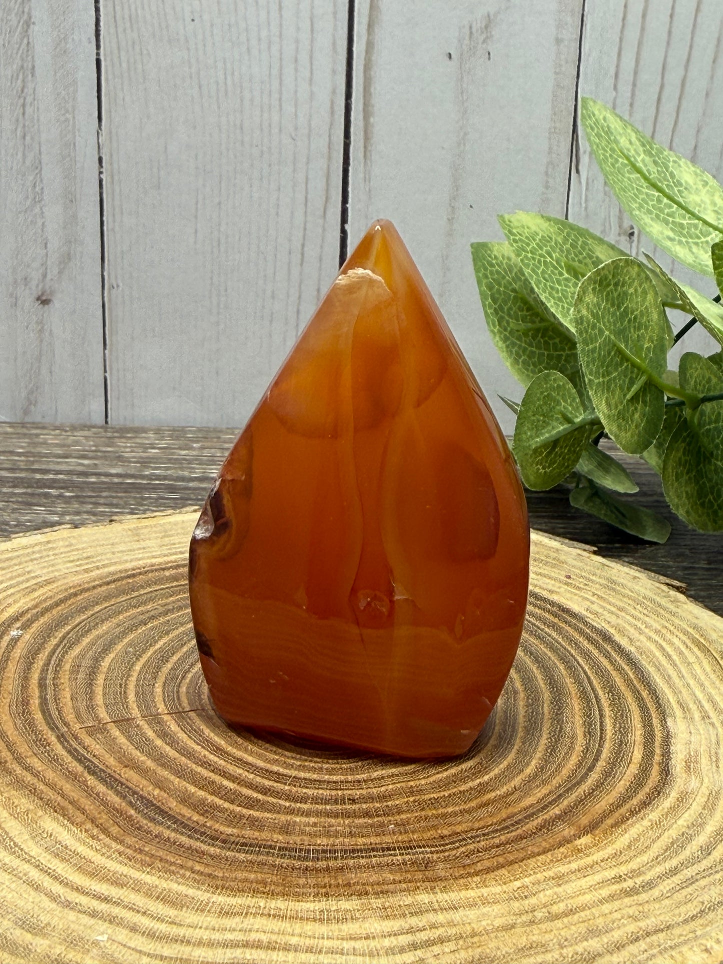 Carnelian Freeforms