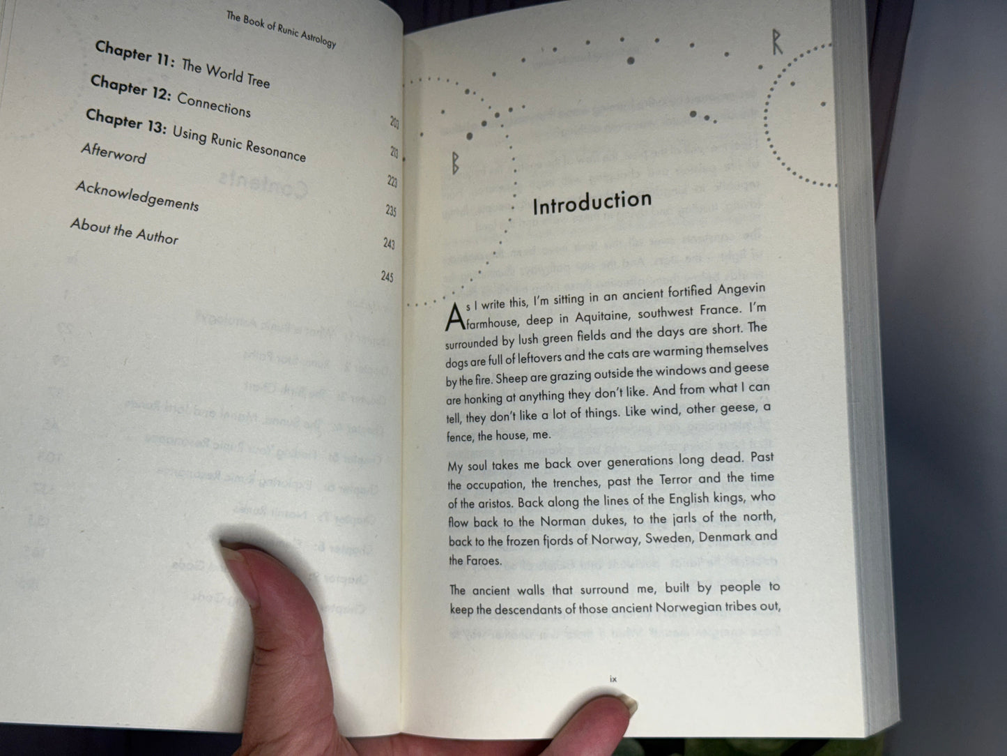 The Book of Runic Astrology: Unlock the Ancient Power of Your Cosmic Birth Runes