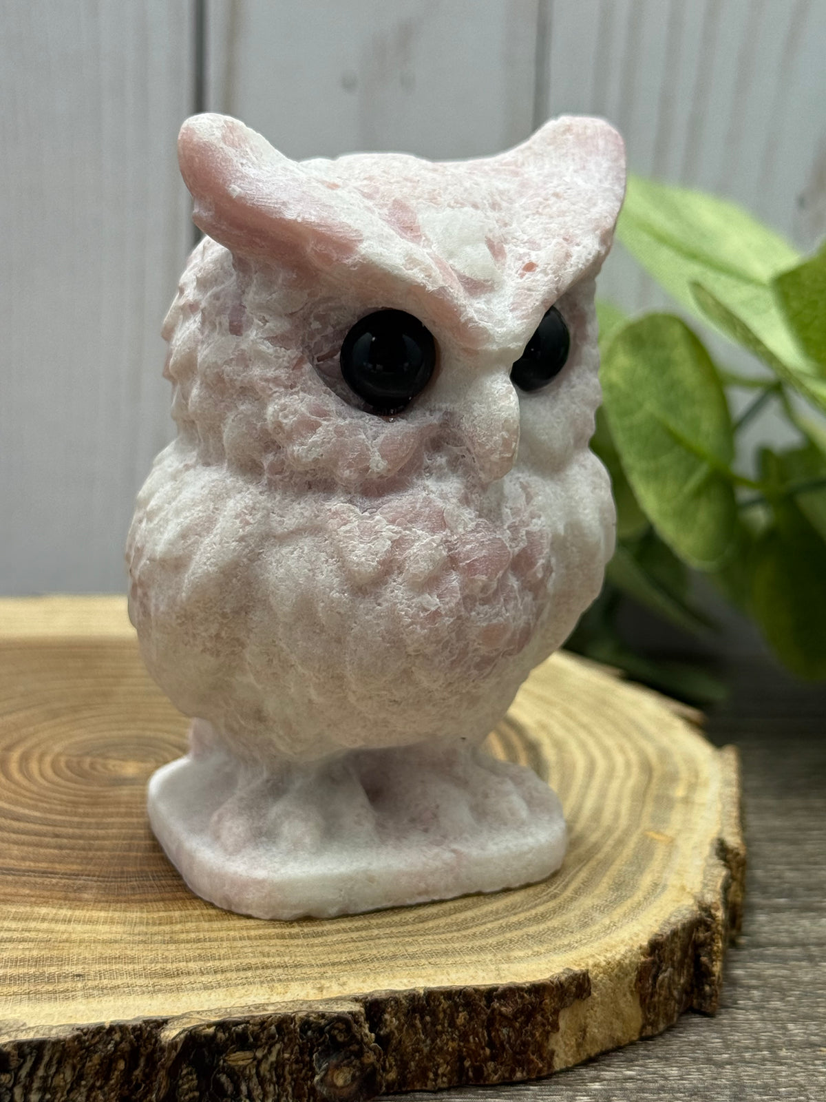 Large Owl Carvings
